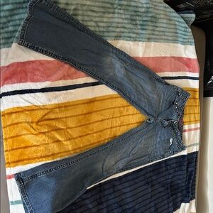 Rock & Roll Cowgirl Blue Skinny Jeans